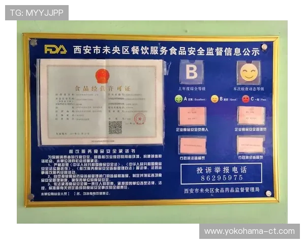 国际ag旗舰厅网站的技术保障与安全措施全面介绍保障玩家个人信息与资金安全的最佳实践